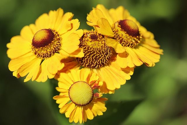 Illustration publi salutation