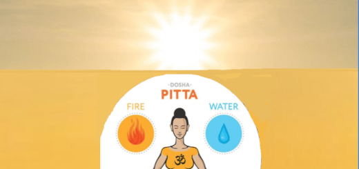 Affiche Pitta soleil